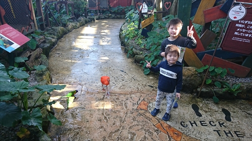 14日・キャンカー旅行②オキフルと琉球村！
